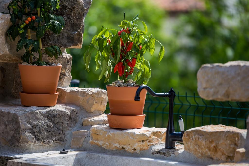 Parenzana Villa Višnjan